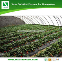 agricultural pp non-woven fabric